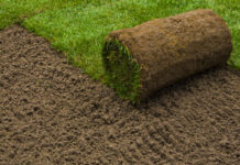 Comment préparer son terrain avant de poser du gazon ? preparer-pose-pelouse